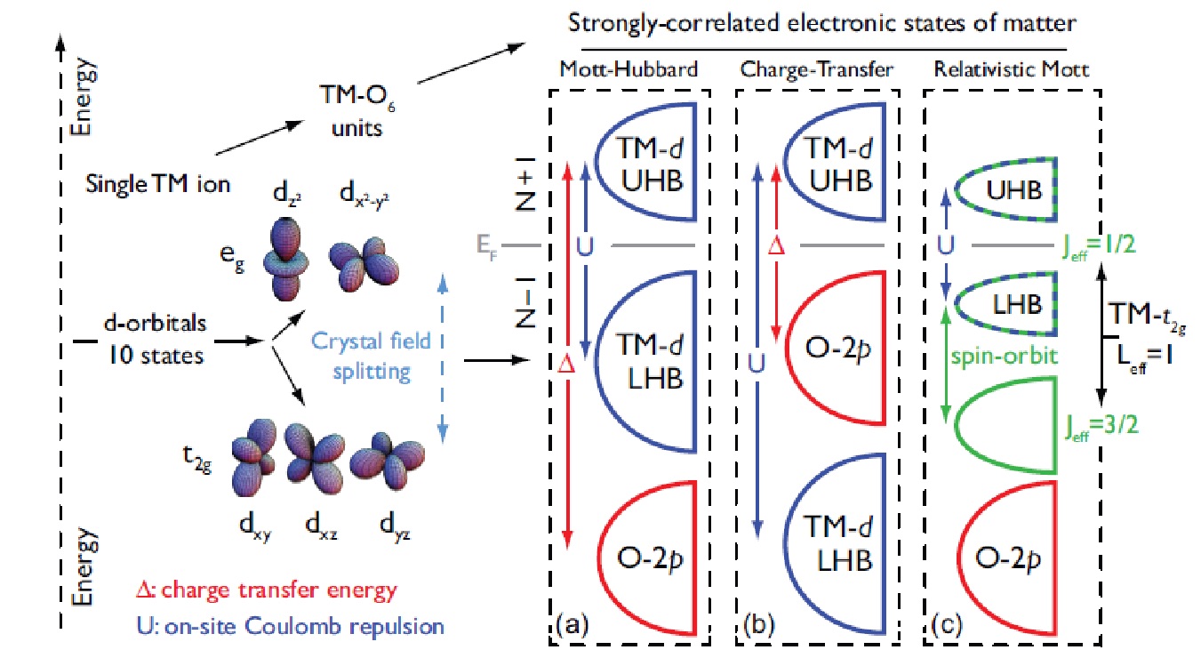 Correlated Electronic States of Matter