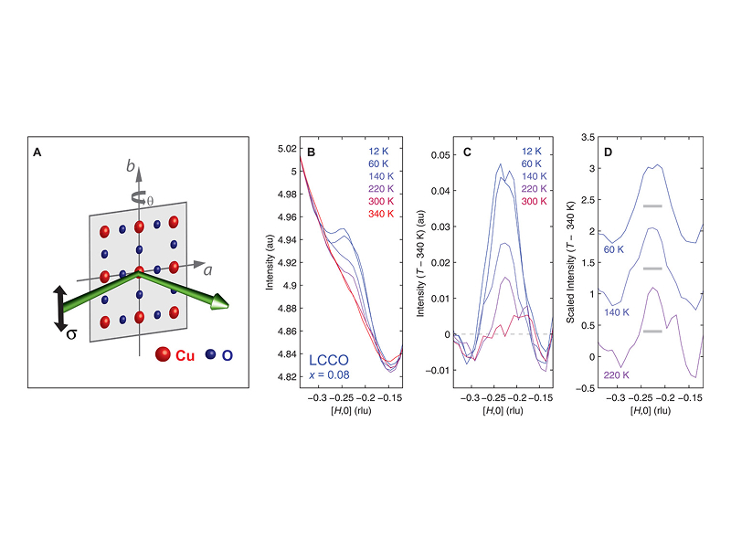 Doping-dependent charge order correlations in electron-doped cuprates