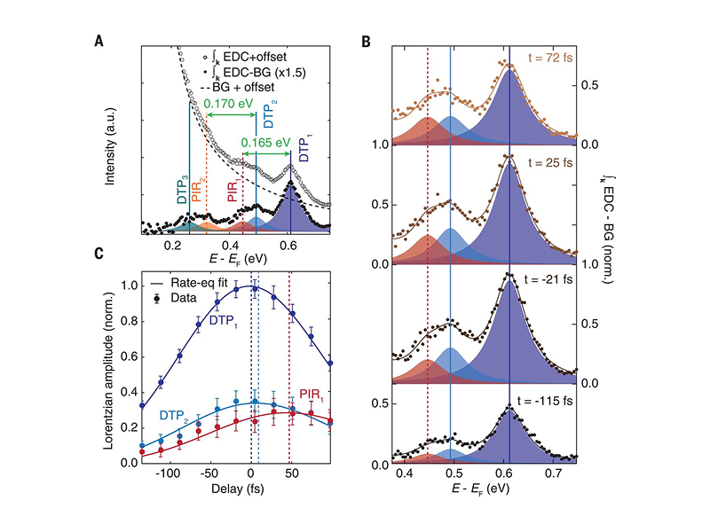 Direct determination of mode-projected electron-phonon coupling in the time domain